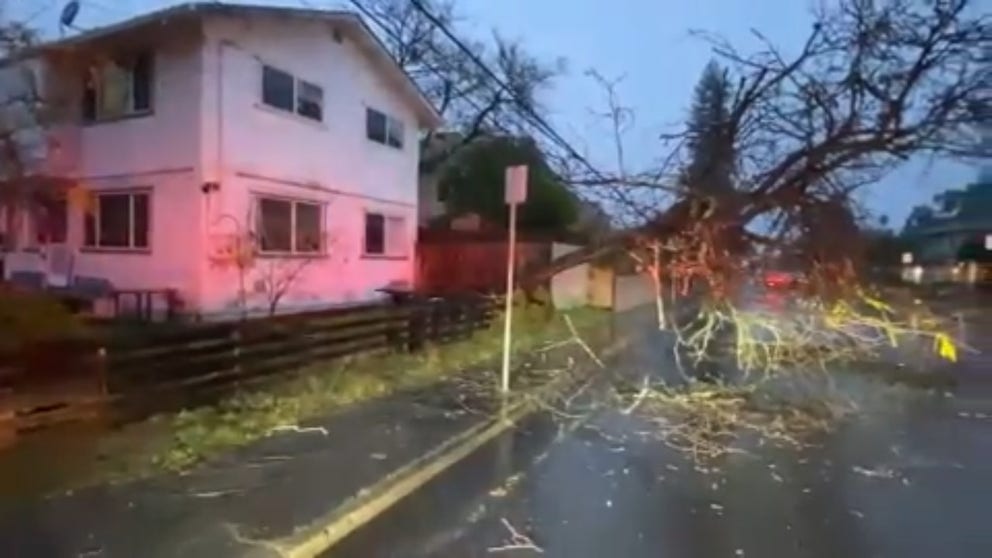 An atmospheric river brought down trees and power lines in Santa Rosa, California, on Thursday. The fire department recorded its second-wettest day in 120 years at its weather station. (@SantaRosaFire/X)