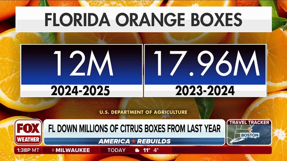 Estimates from the U.S. Department of Agriculture indicate that Florida's orange production remains at pre-WWII levels following recent extreme weather events.