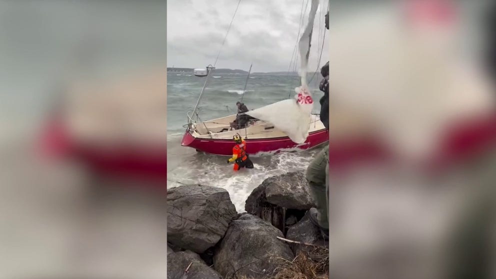 A sailor and his dog were saved Christmas morning after strong winds and high surf conditions ran his vessel aground in northwest Washington.