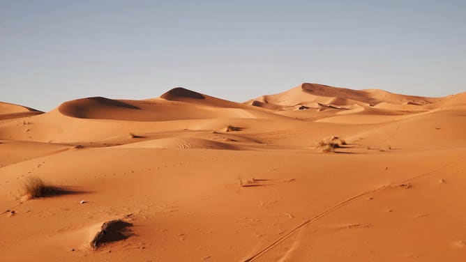 Dunes in the Sahara Desert