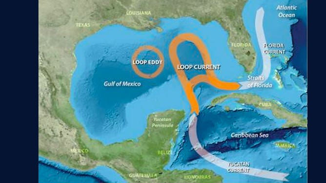 Gulf Loop Current graphic