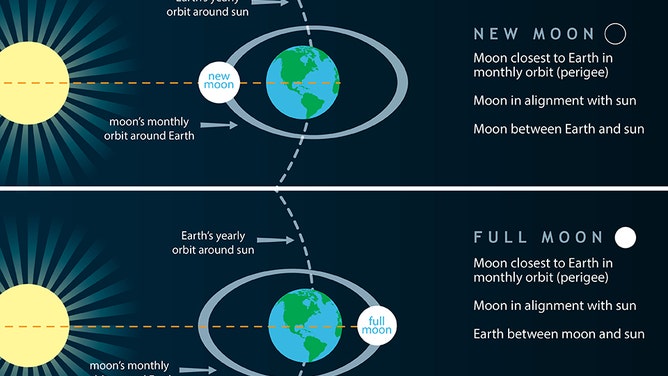 Spring Tide Explainer