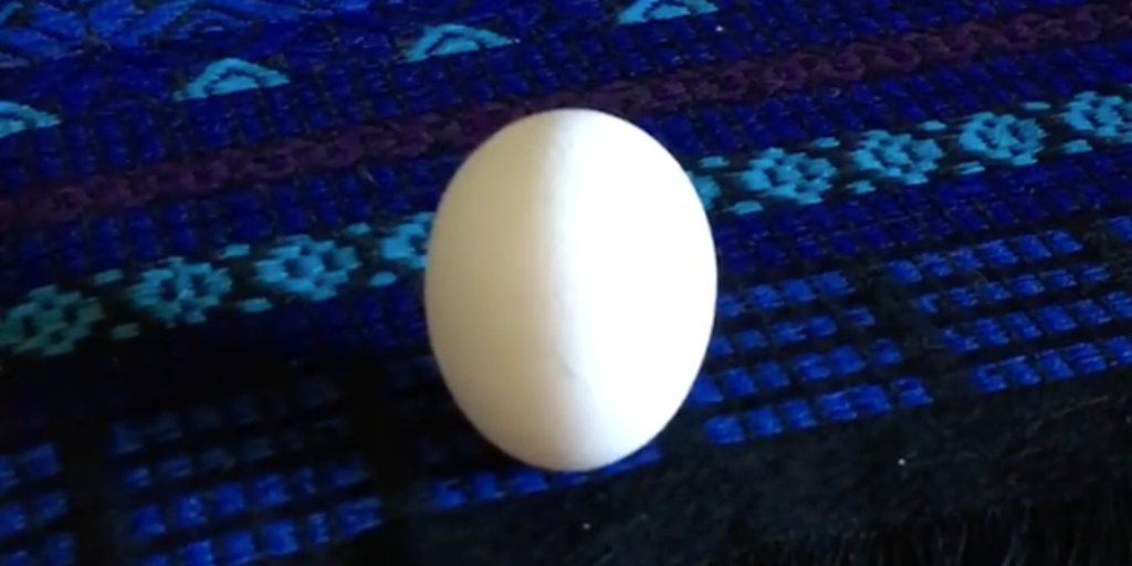 The hard (boiled) truth You can stand an egg on end on the equinox