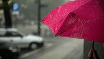 Daily Weather Update from FOX Weather: Flash flood threat grows in Texas, expands to Upper Midwest