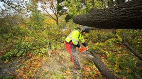 How to safely use a chainsaw before or after a storm