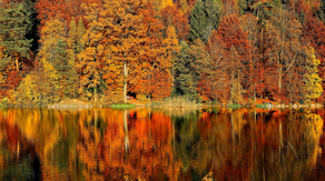 First day of fall is September 22: The science behind the autumnal equinox