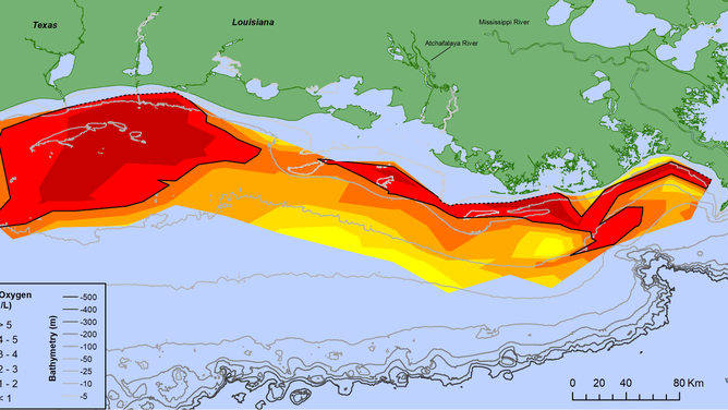 2021 Gulf of Mexico dead zone 9/7/2021