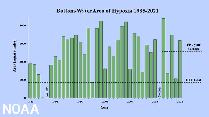 Bottom-area oxygen levels through the years 9/7/2021