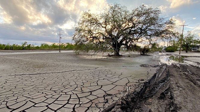 Hurricane Ida damage