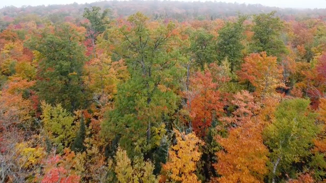Drone footage captures fall colors in northern Wisconsin