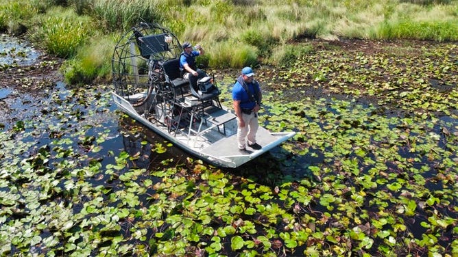 LA alligator search 9/13/2021