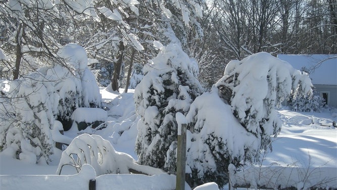 Virginia snow