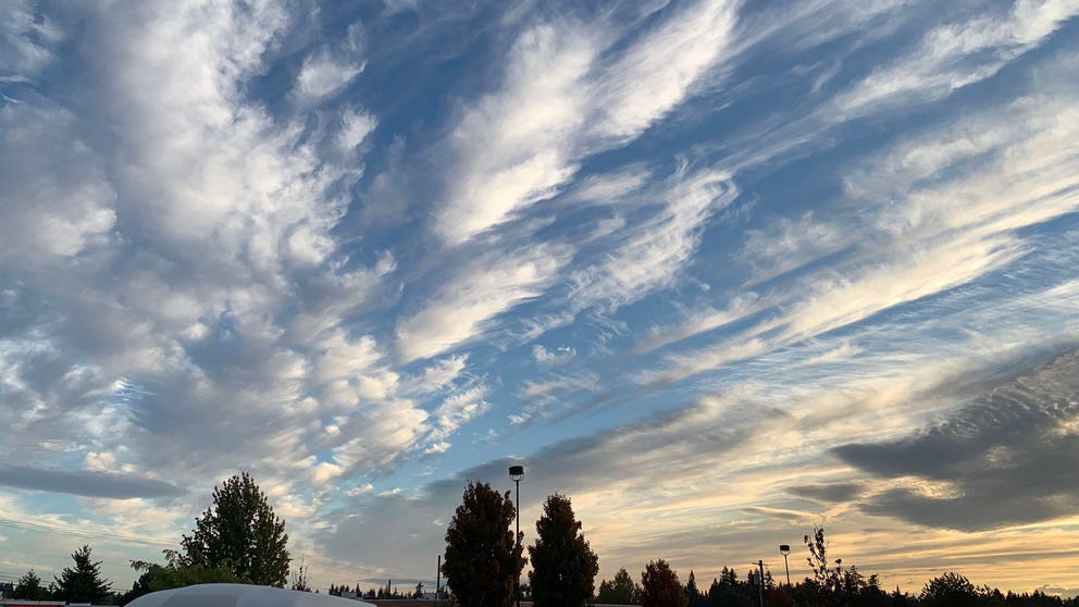 Saturday featured a display of lenticular clouds over Mt. Rainier, followed up Sunday by a show of cirrus clouds.
