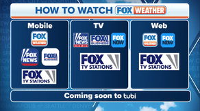 How to watch FOX Weather during first nor'easter of the season
