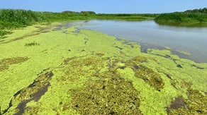 Four earthquakes strike Louisiana in under 10 minutes, days after the state's largest quake in its history