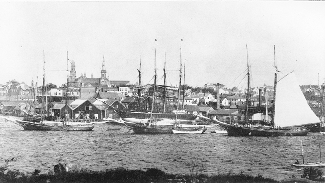 Ships in Gloucester Harbor, Gloucester, MA., c. 1870s. Photographer unknown.