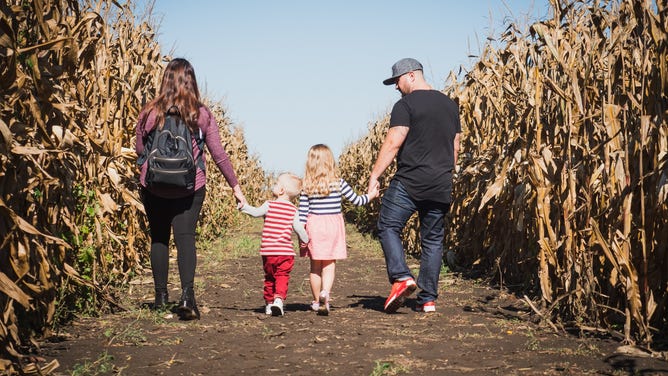 A family walks through the Colony Pumpkin Patch corn maze.