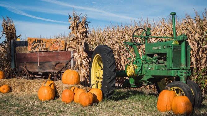 Colony Pumpkin Patch hopes to help visitors reconnect with their rural roots.