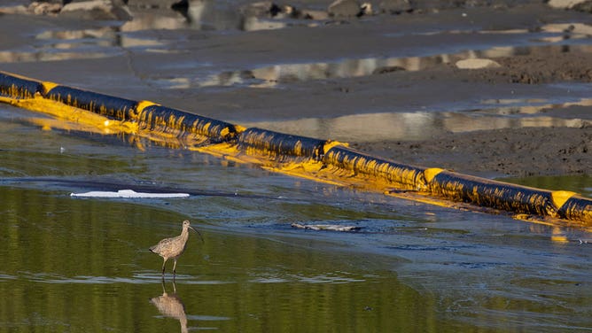 Huntington Beach oil spill 10/3/21