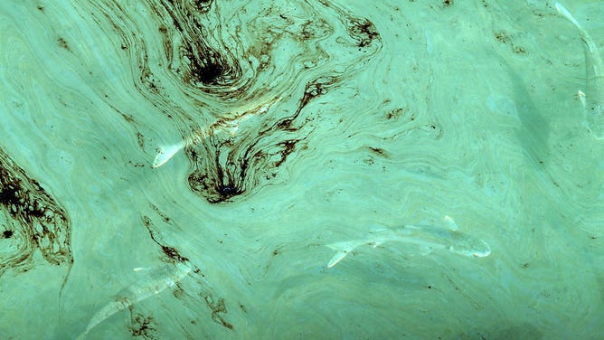 Huntington Beach oil spill 10/3/21