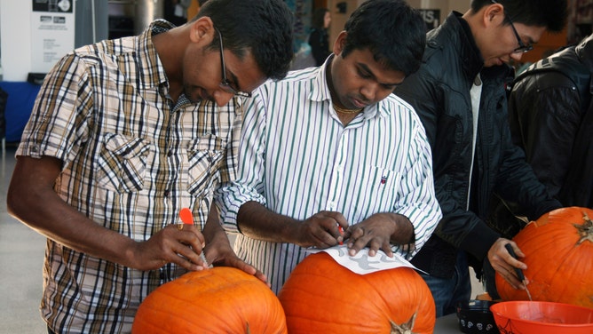 Contestants in a jack-o'-lantern pumpkin carving competition