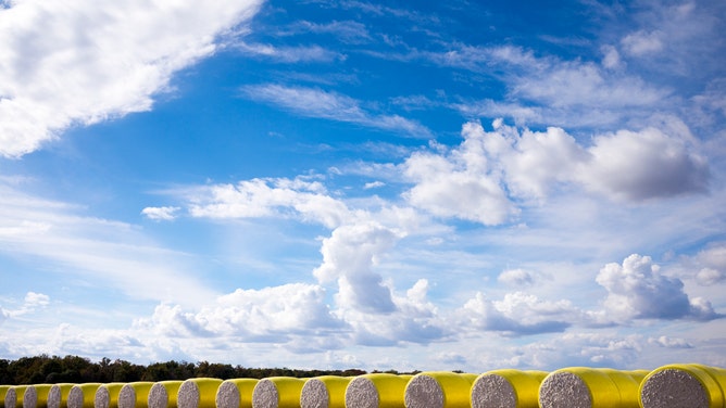 bales of cotton on a Mississippi Delta field