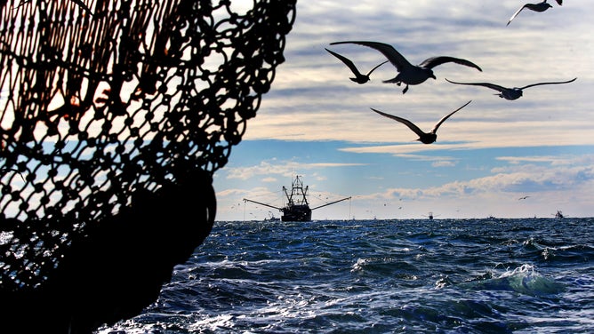 Fishing boats work in the sea in Gloucester, MA.