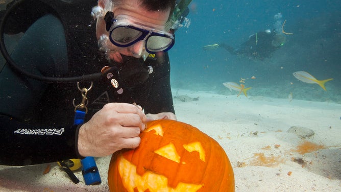 A diver carves a jack-o'-lantern underwater in the Florida Keys National Marine Sanctuary off Key Largo, Florida.