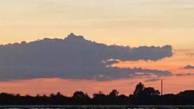 A cloud shaped like an alligator