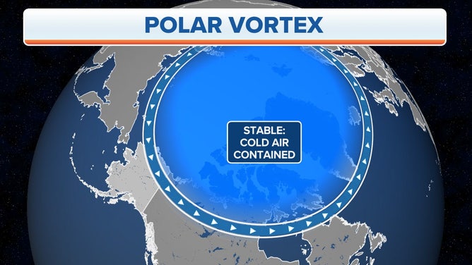 Polar Vortex Stable