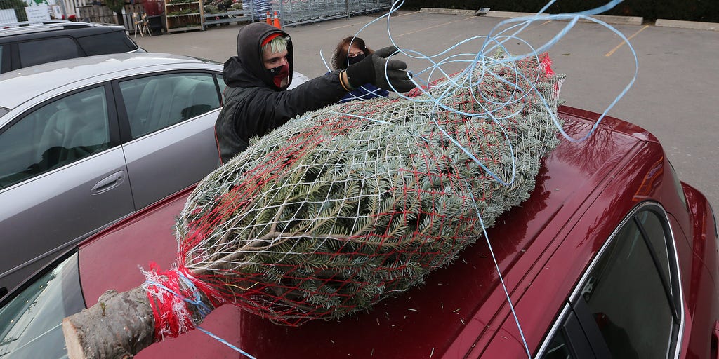 Tips to safely get your Christmas tree home Fox Weather