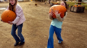 Why is the pumpkin a symbol of fall and Halloween?
