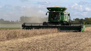 Nebraska farmers on track for record-high harvest despite wild weather swings