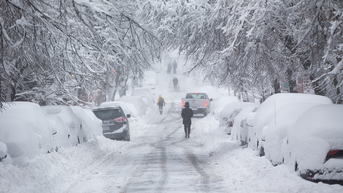 Historic winter storm blasts Plains with snow, ice as 245 million across 40 states brace for major disruptions - Fox News