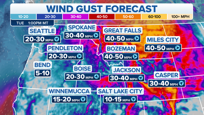 Wind gust forecast on Tuesday, Nov. 16, 2021.