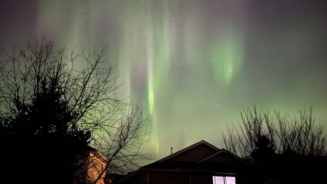Northern light show fom Calgary, Canada. (Image credit: @YYCStarlights / Twitter)
