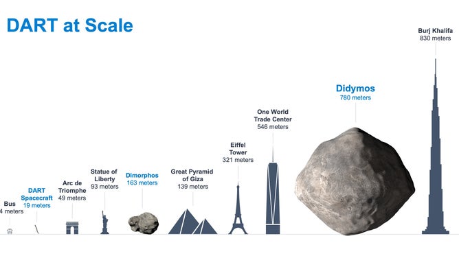 Infographic showing the sizes of the two asteroids in the Didymos system relative to some objects on Earth.