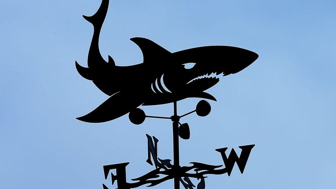 A shark weathervane stands atop signs at Nauset Beach in Orleans, MA.