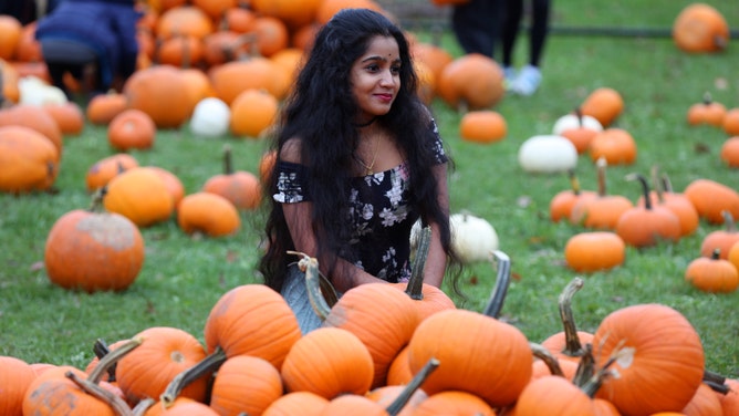 Woman posing for a photo with a pile of small pumpkins during Pumpkinfest in Richmond Hill, Ontario, Canada.