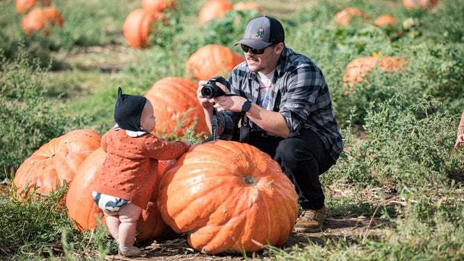 People visit the annual Pumpkin Patch at Bates Nut Farm in Valley Center, California.