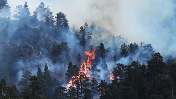 The Kruger fire continues to burn on November 16, 2021 in Estes Park, Colorado. (Photo by RJ Sangosti/MediaNews Group/The Denver Post via Getty Images)