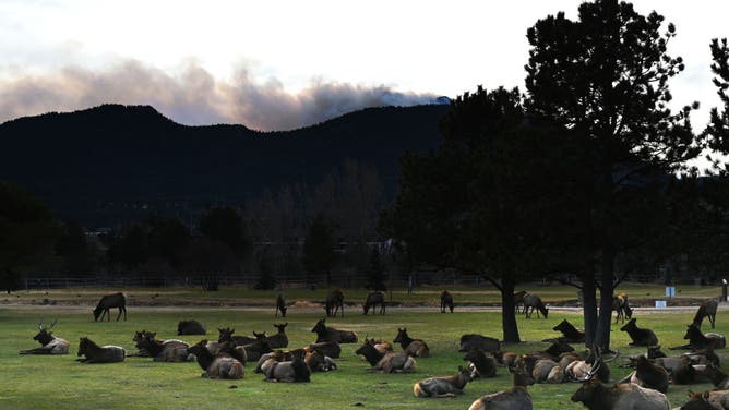 The Kruger rock fire continues to burn on November 16, 2021 in Estes Park, Colorado. (Photo by RJ Sangosti/MediaNews Group/The Denver Post via Getty Images)