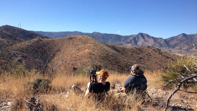 Whitetail deer hunting season in Arizona in November.