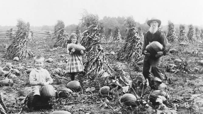 Grandpa Fairbrother and his grandchildren Edith and George gather pumpkins in a field. 