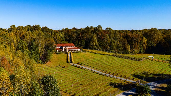 Aerial view of Running Hare Vineyard in Prince Frederick, MD.