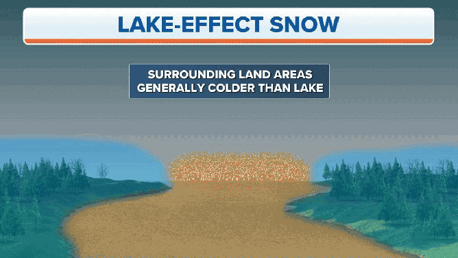 Lake-effect snow forms when cold air moves over warm water.