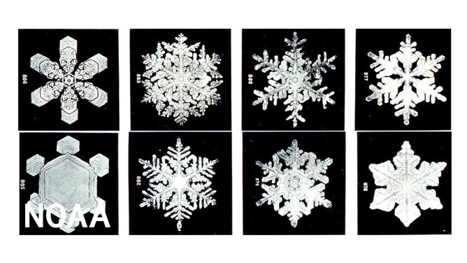 Microscopic view of snowflakes by Wilson Bentley, from the Annual Summary of the Monthly Weather Review for 1902. Bentley was a farmer whose hobby was photographing snow flakes.