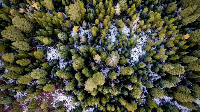 Images from Yellowstone and Grand Tetons National Parks.