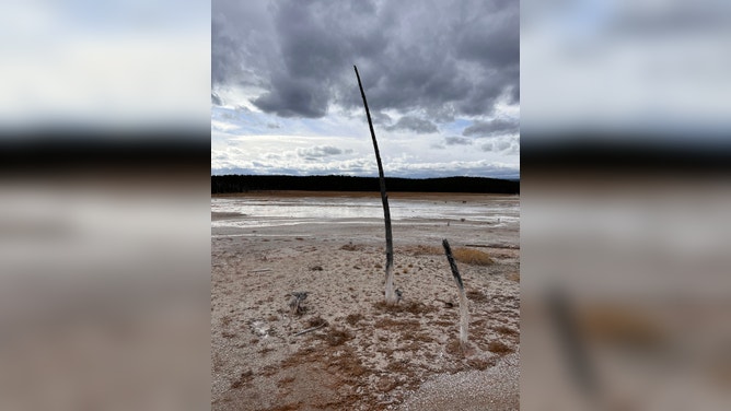 Images from Yellowstone and Grand Tetons National Parks.