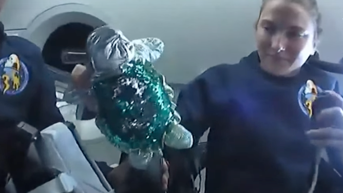 A colorful turtle toy floating in SpaceX Dragon spacecraft.